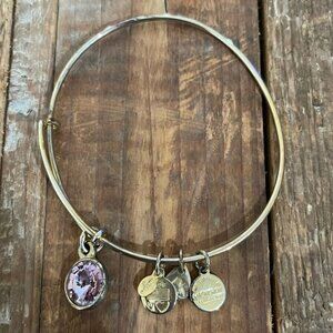Alex and Ani Gold Pink Rhinestone Adjustable Charm Bracelet‎